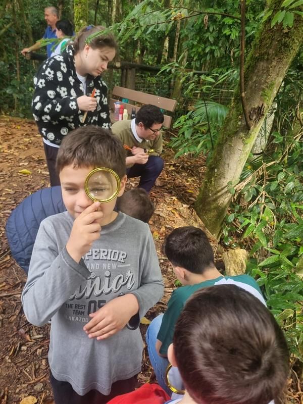 Associação de Amigos do Autista de Jaraguá do Sul - AMA, em Jaraguá do Sul — foto 2